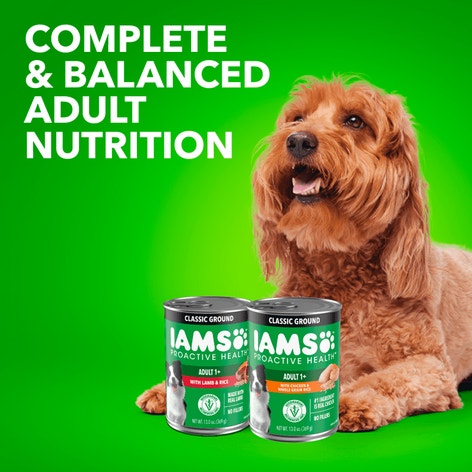 PROACTIVE HEALTH™ Chicken & Whole Grain Rice and Lamb & Rice Classic Ground MVP image 1