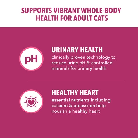 IAMS™ PROACTIVE HEALTH™ URINARY TRACT HEALTH WITH CHICKEN image 1