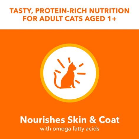 IAMS™ PERFECT PORTIONS™ Wet Cat Food Cuts in Gravy, Variety Pack Recipe image 1