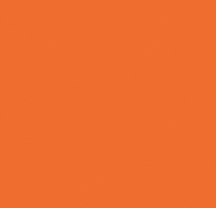 IAMS Pet Expert orange