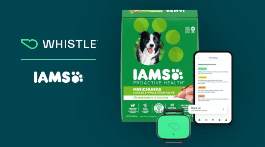 whistle-article-banner