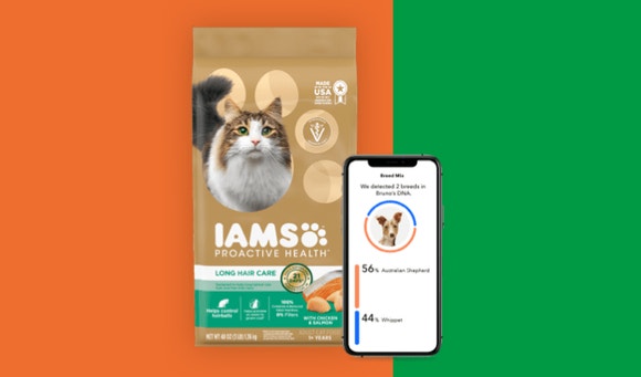 green and orange background + Wisdom Panel DNA test showing on mobile phone, next to IAMS pet food package