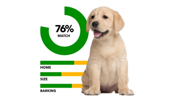 IAMS Breed Selector
