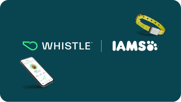 IAMS Whistle