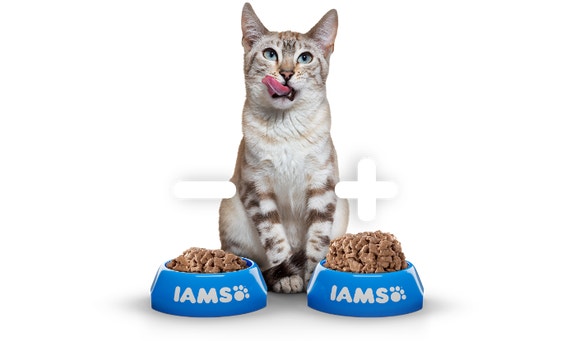 IAMS Serving Size Calculator