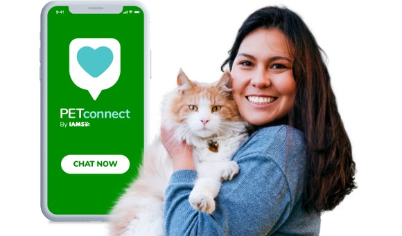 IAMS PETconnect