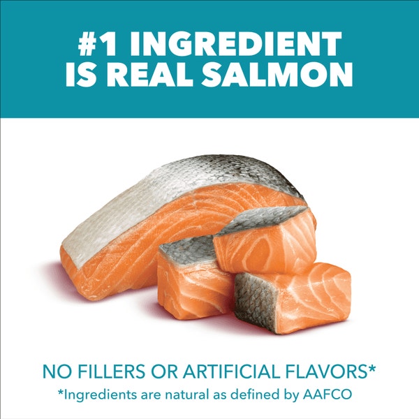 IAMS™ PROACTIVE HEALTH™ ADULT INDOOR WEIGHT & HAIRBALL CARE WITH SALMON image 2