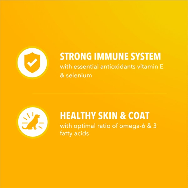 IAMS Proactive Health Dry Puppy Food Chicken, (4) 5 lb. Bags image 4