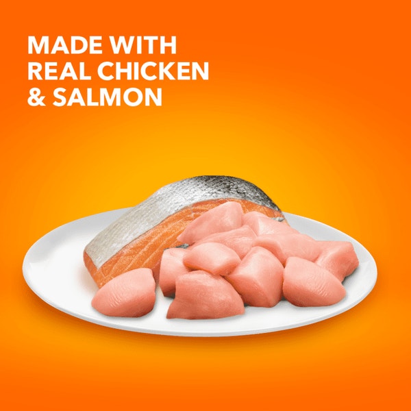 IAMS™ HEALTHY ENJOYMENT™ DRY CAT CHICKEN & SALMON image 2