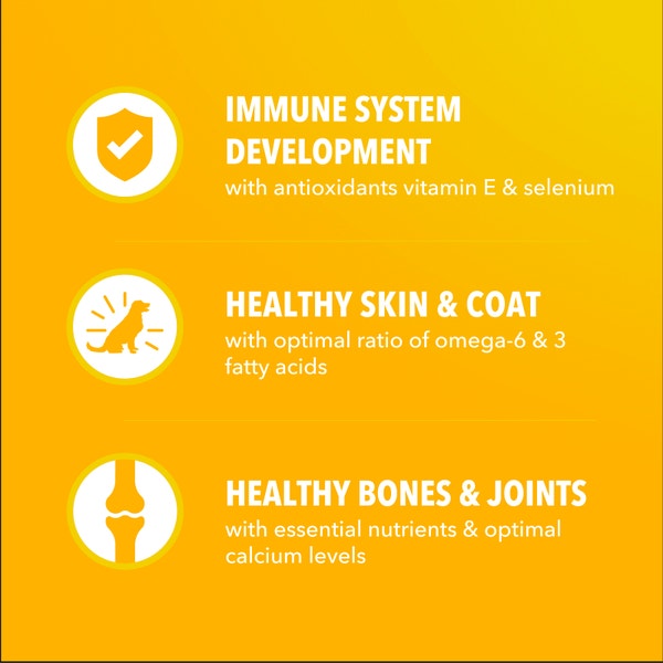 IAMS™ PUPPY SMALL BREED image 4