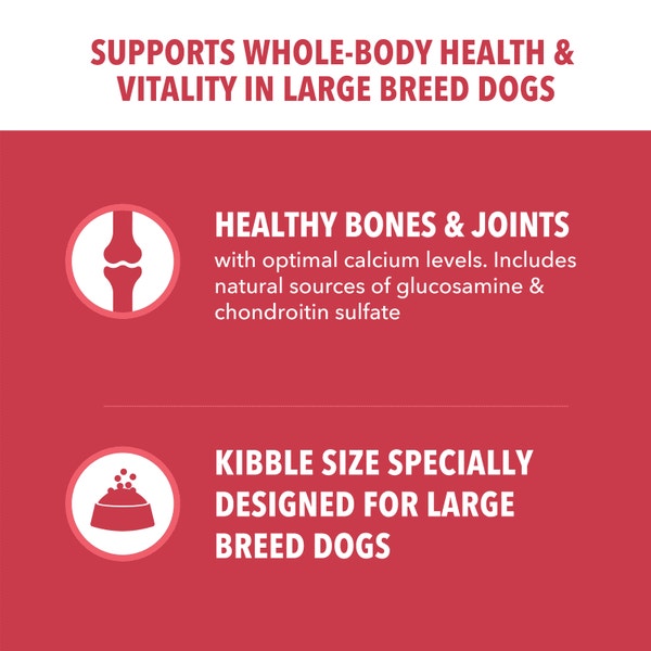 IAMS™ LARGE BREED LAMB & RICE image 3