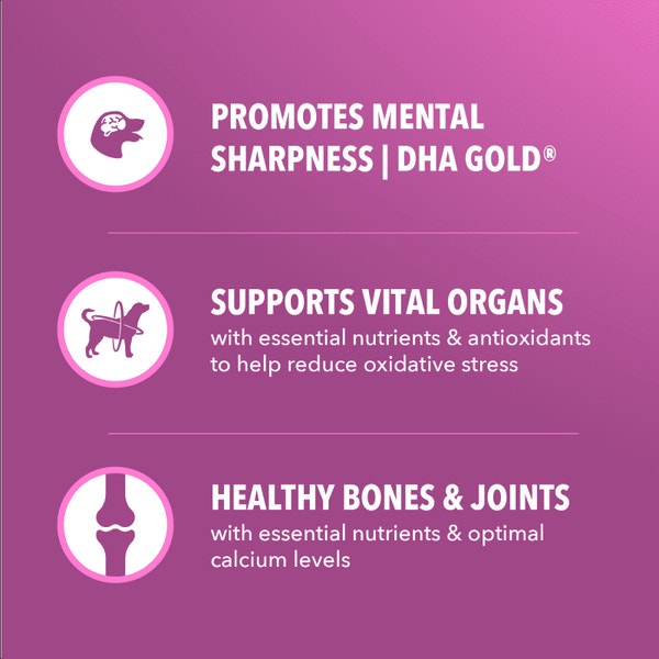 IAMS Proactive Health Healthy Aging Chicken & Whole Grain Recipe Dry Dog Food, (4) 5 Lb Bags image 3