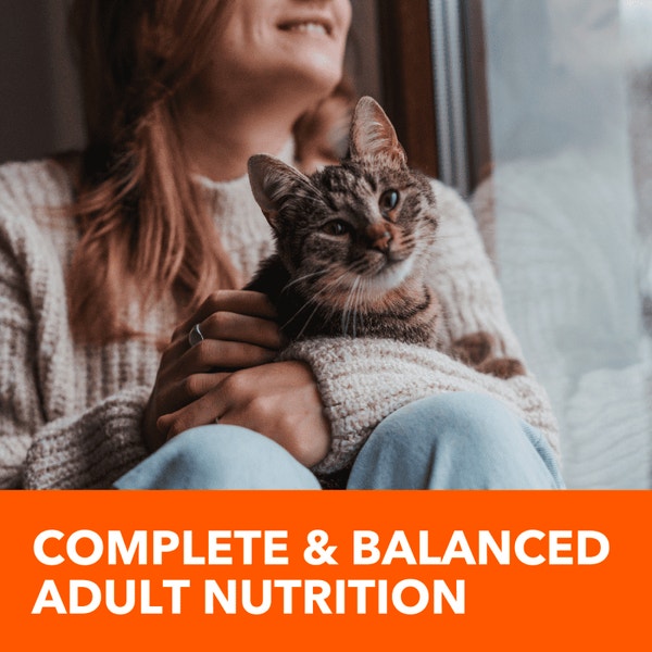 IAMS™ HEALTHY WEIGHT DRY CAT image 4