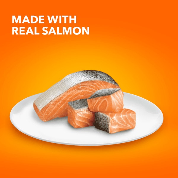 IAMS™ PROACTIVE HEALTH™ ADULT INDOOR WEIGHT & HAIRBALL CARE WITH SALMON image 2