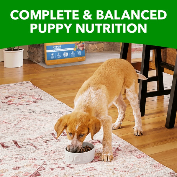 IAMS™ PUPPY LARGE BREED image 4