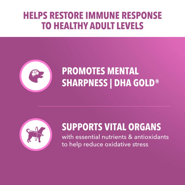 IAMS™ HEALTHY AGING image 3