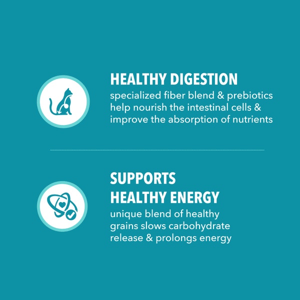 IAMS™ PROACTIVE HEALTH™ ADULT INDOOR WEIGHT & HAIRBALL CARE WITH SALMON image 4