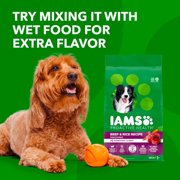 IAMS™ ADULT BEEF AND RICE image 4