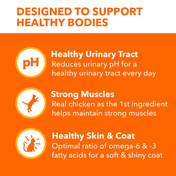 IAMS™ PROACTIVE HEALTH™ URINARY TRACT HEALTH WITH CHICKEN image 3