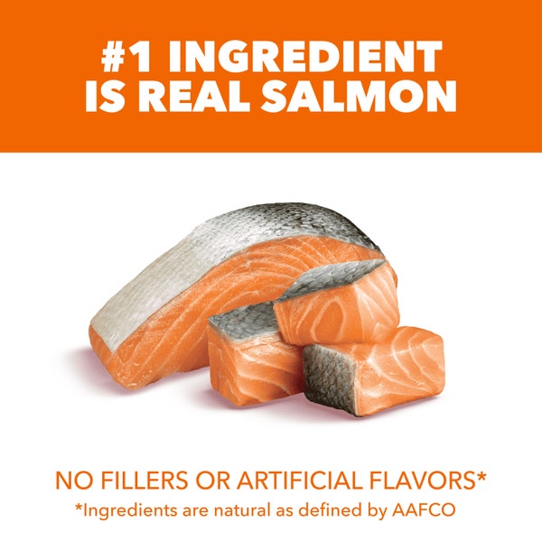 IAMS™ PROACTIVE HEALTH™ HEALTHY ADULT WITH SALMON image 2