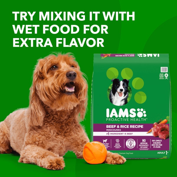 IAMS™ ADULT BEEF AND RICE image 4