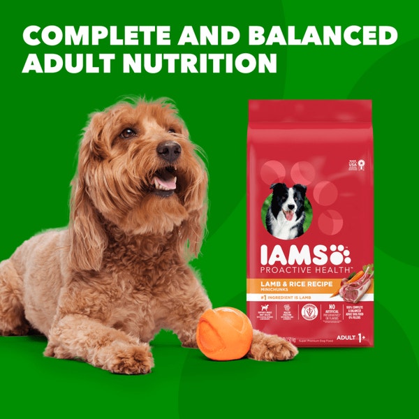 IAMS™ MINICHUNKS LAMB & RICE image 4