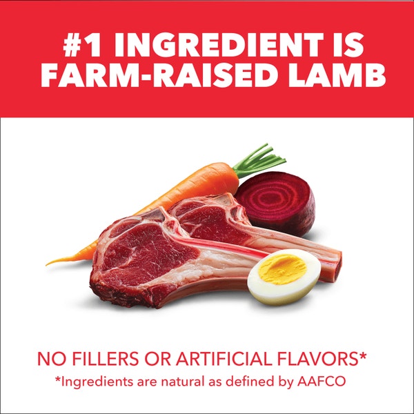 IAMS™ MINICHUNKS LAMB & RICE image 2