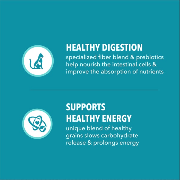 IAMS™ PROACTIVE HEALTH™ ADULT INDOOR WEIGHT & HAIRBALL CARE WITH CHICKEN & TURKEY image 4