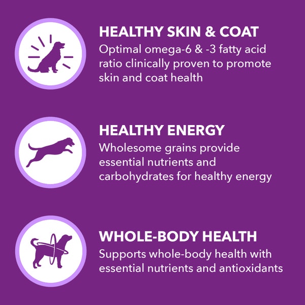 IAMS™ ADVANCED HEALTH™ SKIN & COAT image 3