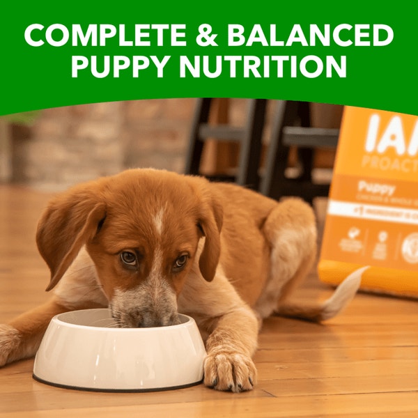 IAMS™ PUPPY image 4