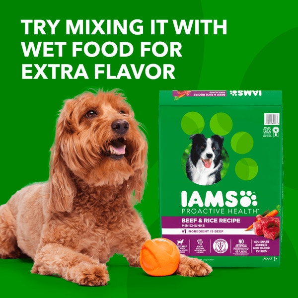 IAMS™ ADULT BEEF AND RICE image 4