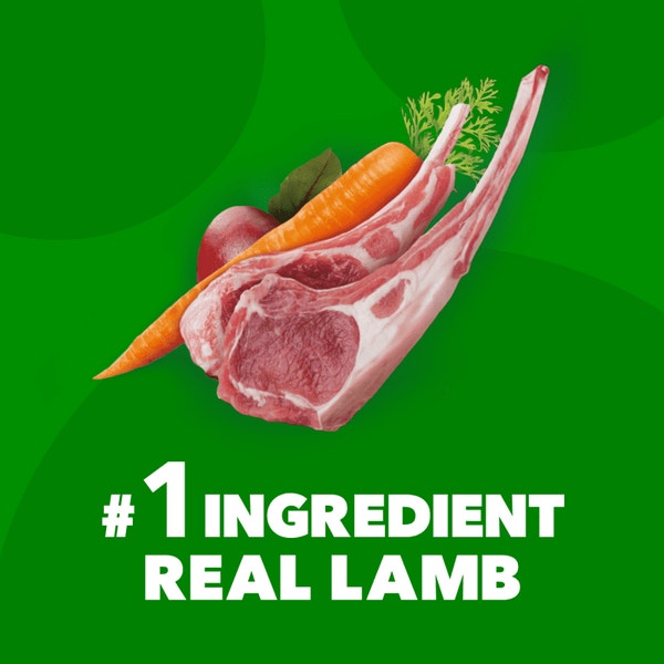 IAMS™ MINICHUNKS LAMB & RICE image 2