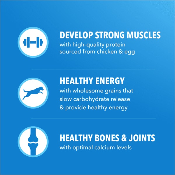 IAMS Proactive Health Healthy Weight Adult Chicken & Whole Grain Recipe Dry Dog Food, (4) 5 Lb Bags image 4