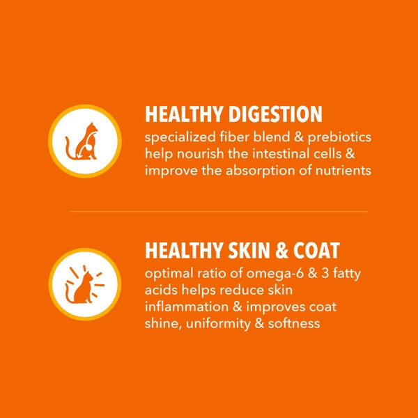 IAMS™ PROACTIVE HEALTH™ HEALTHY ADULT WITH SALMON image 4