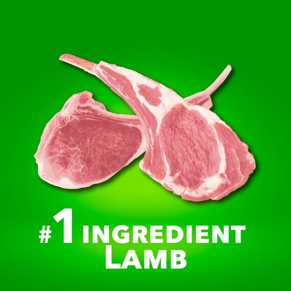 IAMS™ SMALL BREED LAMB AND RICE image 2