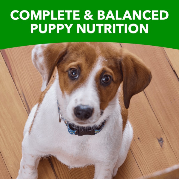 IAMS™ PUPPY SMALL BREED image 4