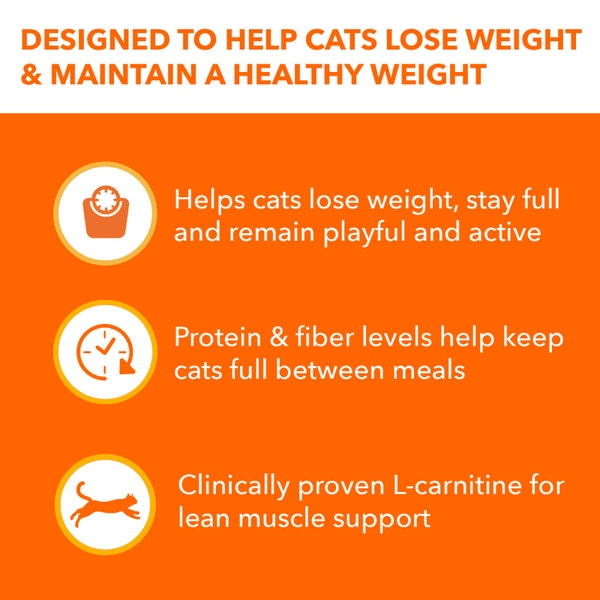 IAMS™ HEALTHY WEIGHT DRY CAT image 3