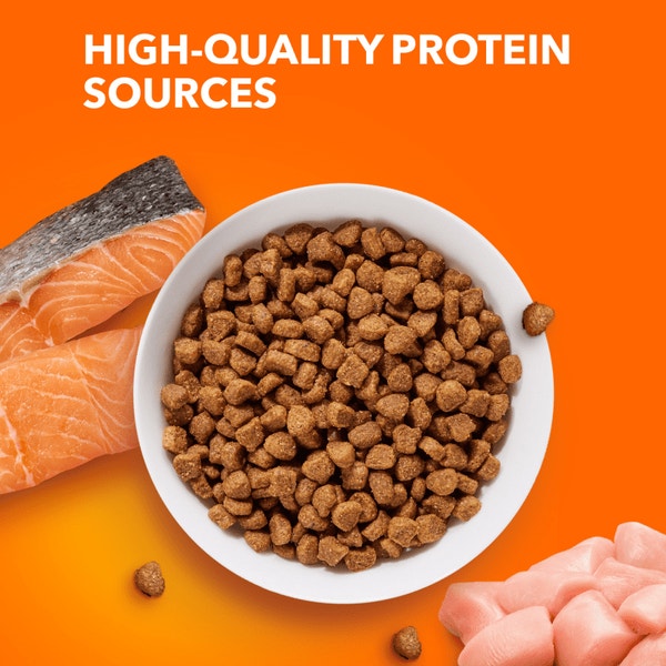 IAMS™ PROACTIVE HEALTH™ HEALTHY ADULT WITH SALMON image 4