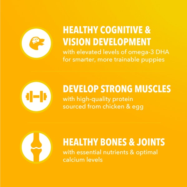 IAMS Proactive Health Healthy Puppy Chicken Recipe Small Breed Dry Puppy Food, (4) 5 Lb Bags image 3