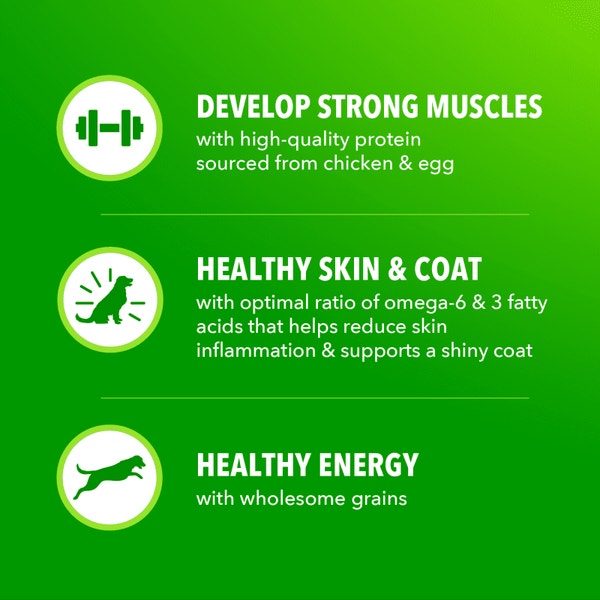 Proactive Health Large Breed Adult Chicken & Whole Grain Recipe Dry Dog Food image 4