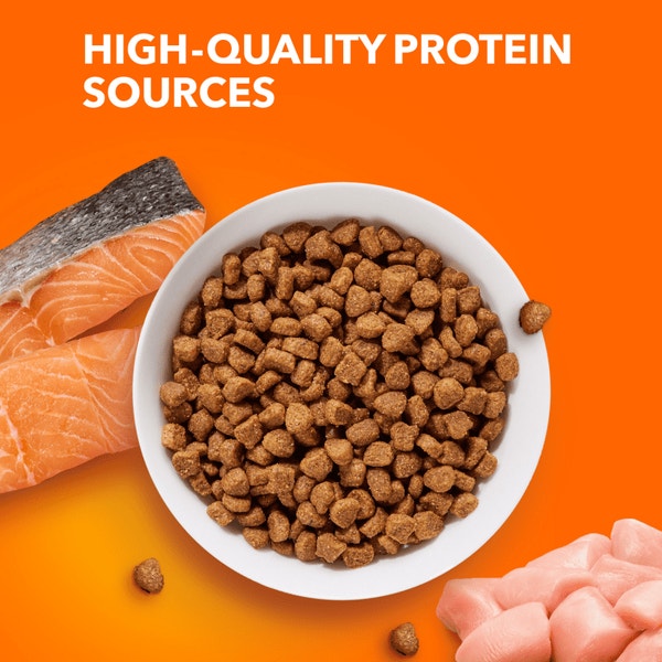 IAMS™ PROACTIVE HEALTH™ HEALTHY ADULT WITH SALMON image 4