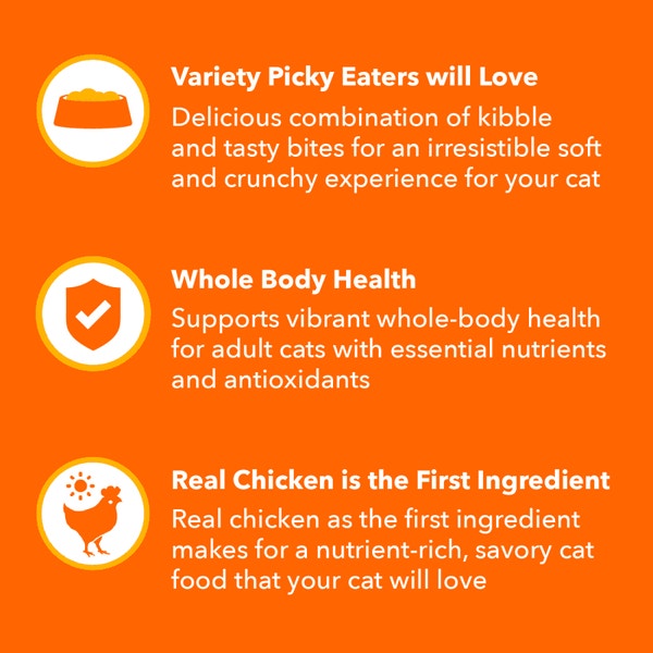 IAMS™ HEALTHY ENJOYMENT™ DRY CAT CHICKEN & SALMON image 3