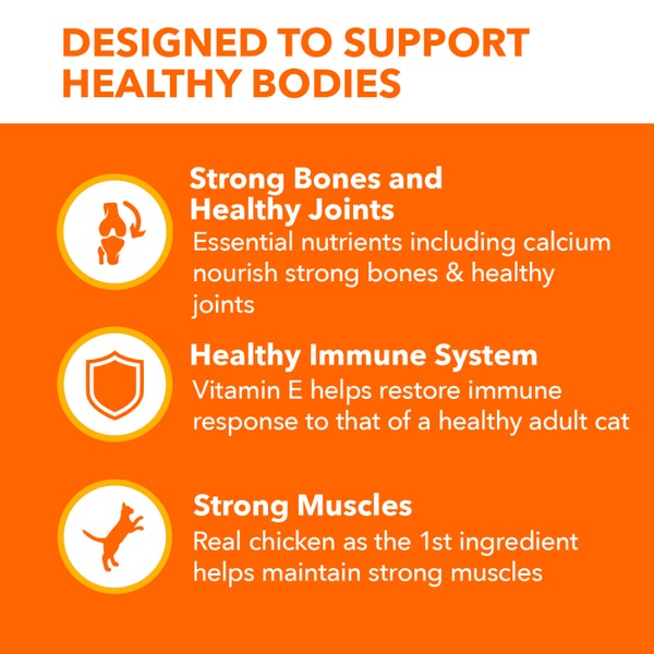 IAMS™ PROACTIVE HEALTH™ HEALTHY SENIOR image 3