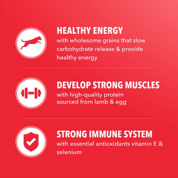 IAMS™ MINICHUNKS LAMB & RICE image 4