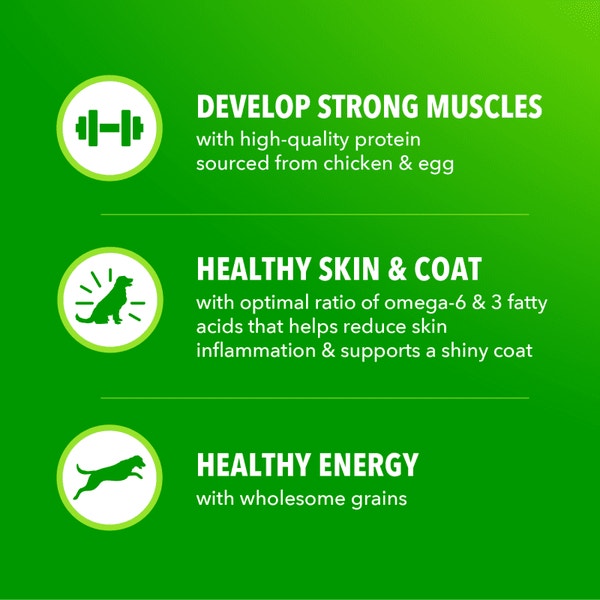 Proactive Health Large Breed Adult Chicken & Whole Grain Recipe Dry Dog Food image 4