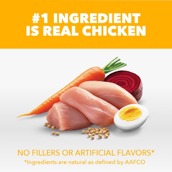 IAMS Proactive Health Healthy Puppy Chicken Recipe Small Breed Dry Puppy Food, (4) 5 Lb Bags image 2