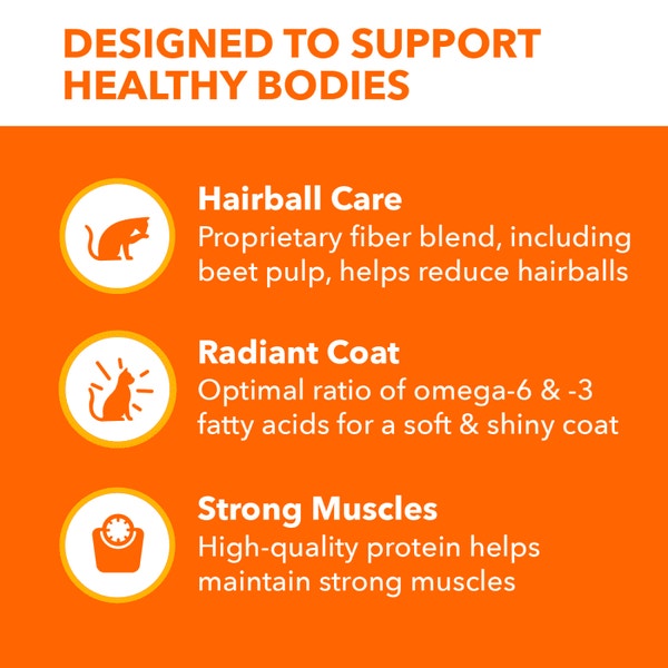 IAMS™ PROACTIVE HEALTH™ HAIRBALL CARE image 3