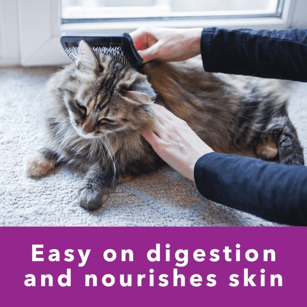 IAMS™ PERFECT PORTIONS™ SENSITIVE DIGESTION & SKIN ADULT PATÉ  - TURKEY RECIPE image 3