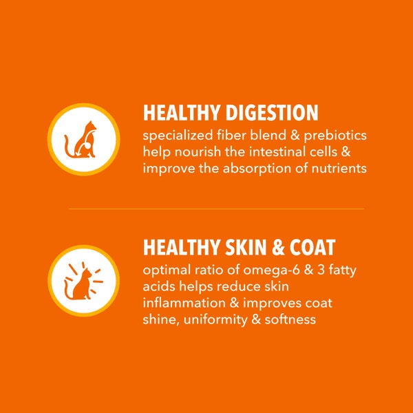 IAMS™ PROACTIVE HEALTH™ HEALTHY ADULT WITH CHICKEN image 4