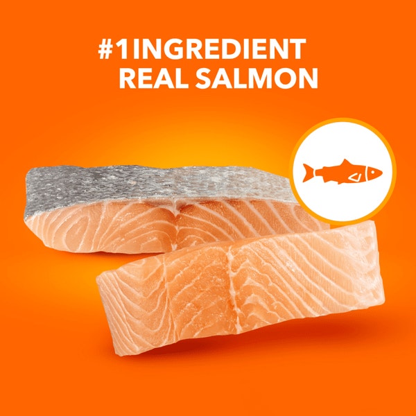 IAMS™ PROACTIVE HEALTH™ HEALTHY ADULT WITH SALMON image 2